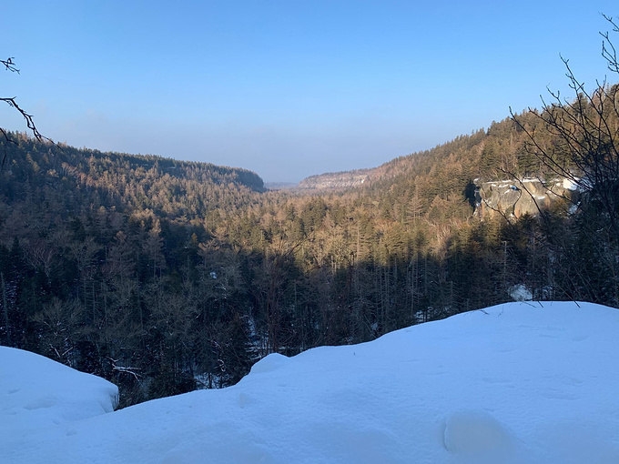 长白山北坡景点--地下森林图片