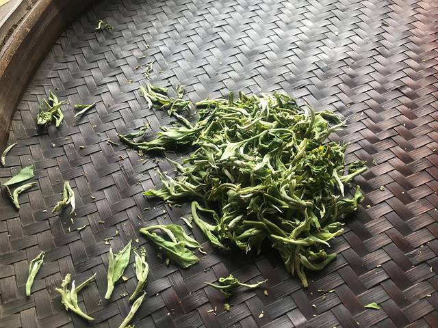 七仙峰有机茶园