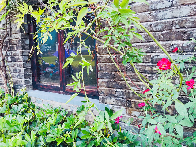 "...，就看到了这家“秘密花园”，是一家西餐店，古色古香的院子，配上咖啡和西餐，中西结合别有一番风味_旧县村"的评论图片