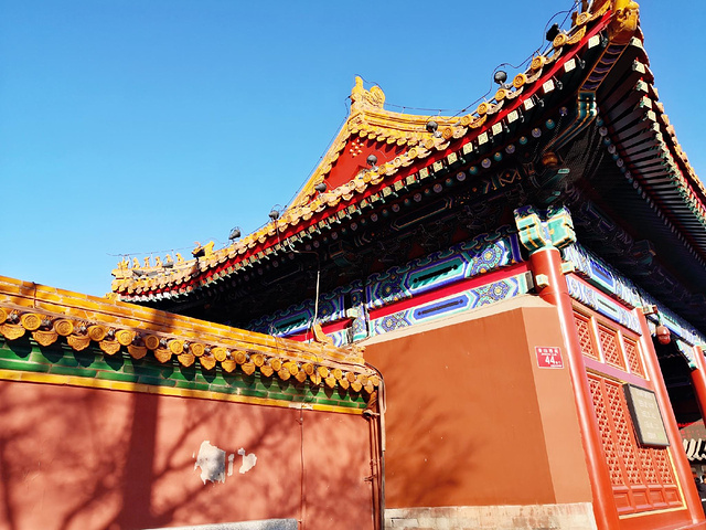 畅音阁,实物远比照片震撼,漂亮.萧索的慈宁宫后花园.御花园一角.