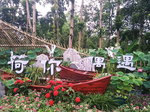 洪湖公园旅游景点图片