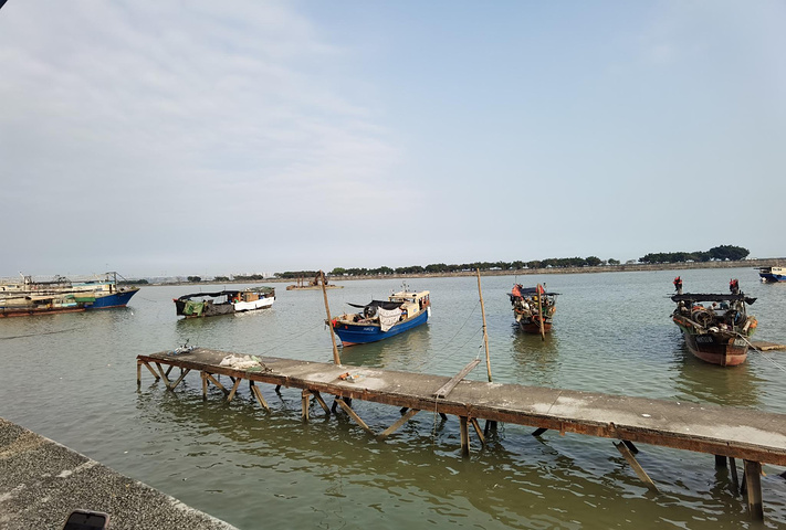 "南沙区现在还处于开发阶段，已经建成的有“百万葵园”，“南沙水鸟世界”，“南沙湿地公园”等_南沙十九涌"的评论图片