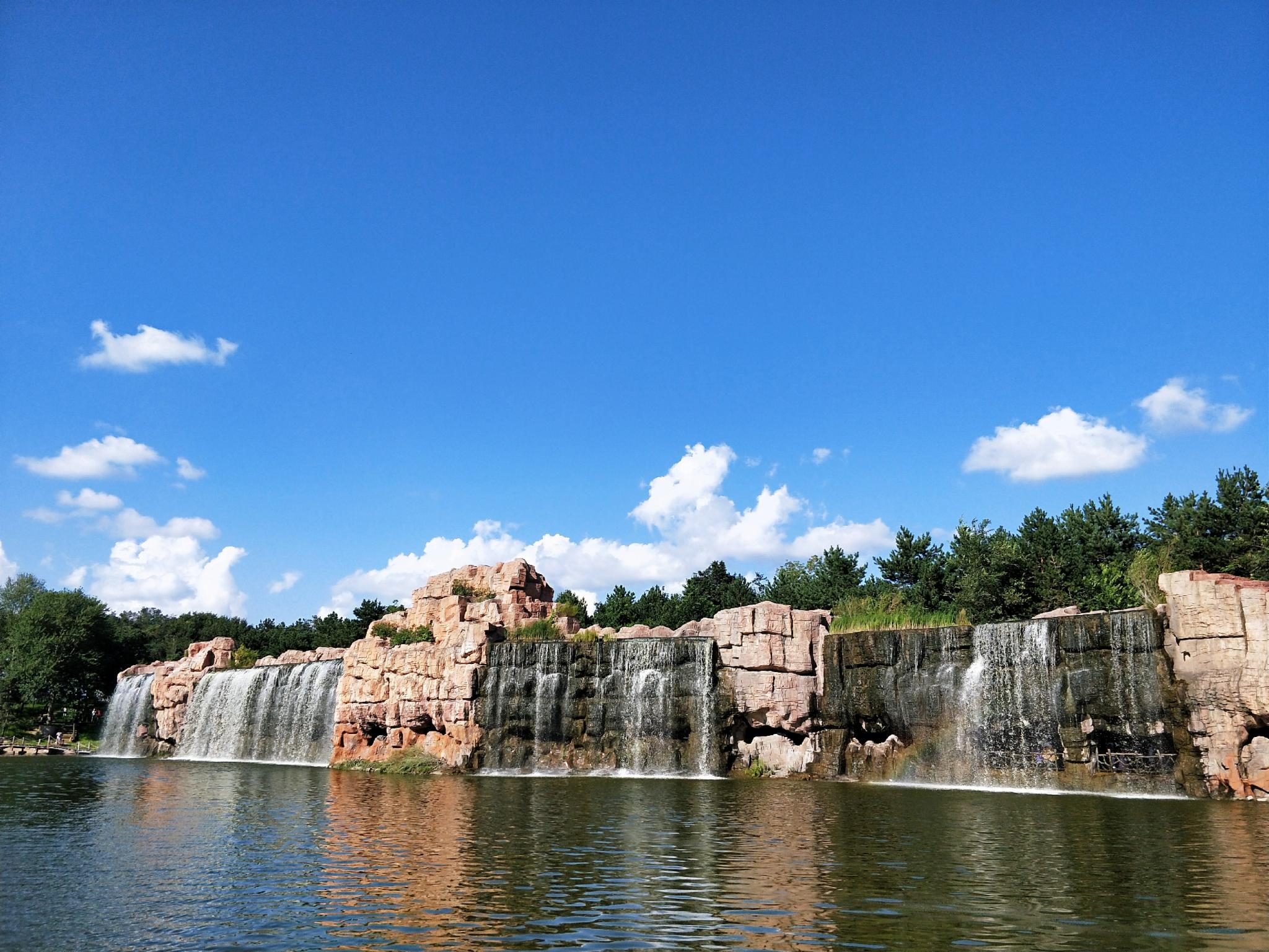 强烈建议坐观光车相对于冬天的银装素裹夏天的太阳岛一片绿意盎然更