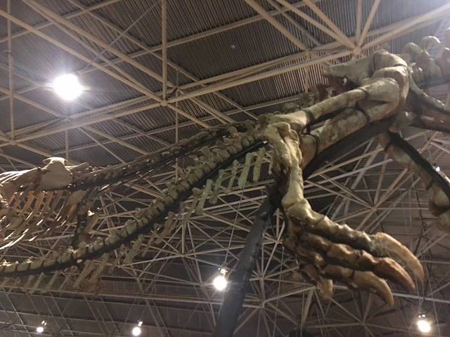 中国禄丰侏罗纪恐龙遗址公园