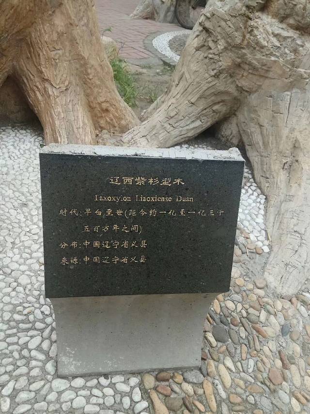 锦州古塔历史文化公园