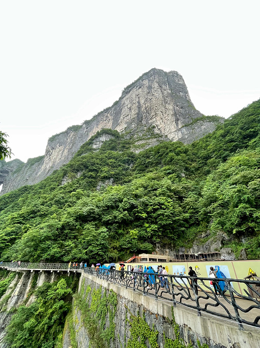 微漾小筑主题客栈(张家界天门山索道站店)图片