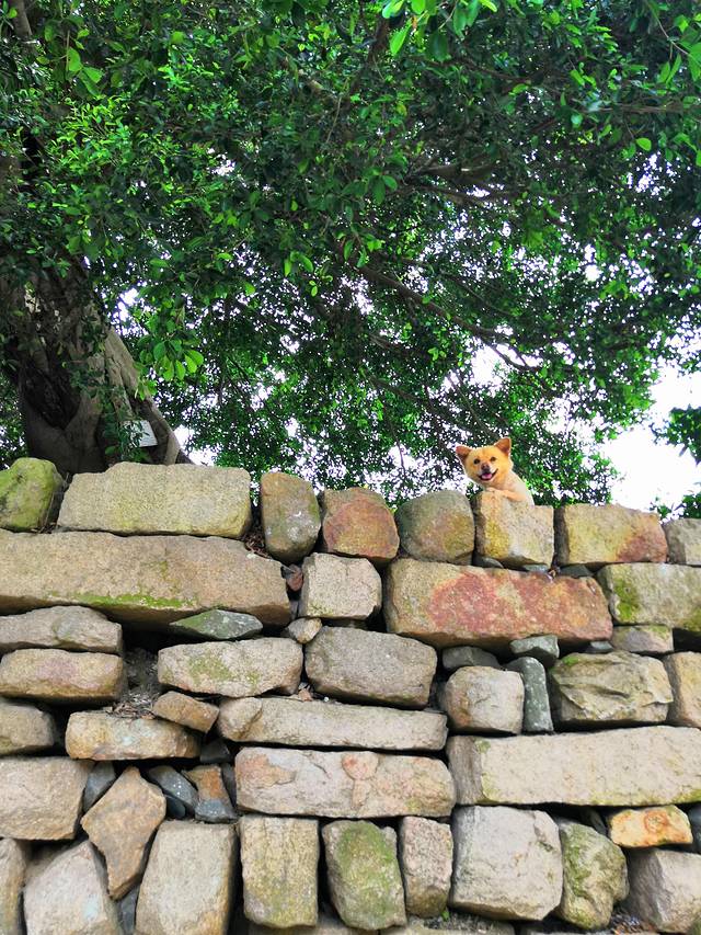 明代古城镇海卫