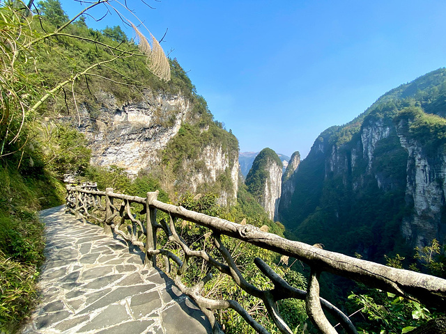 "而景区的悬空栈道我也不太建议去行走，跟其他地方的没什么区别，没必要再花一部分钱走一圈_天问台"的评论图片