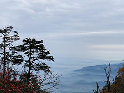 乐山峨眉吃吃行