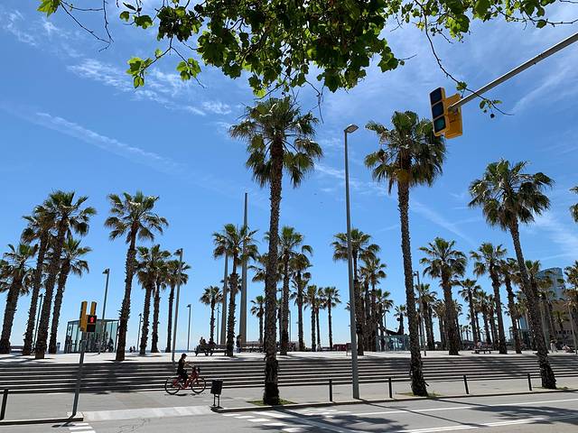 巴塞罗那塔海滩