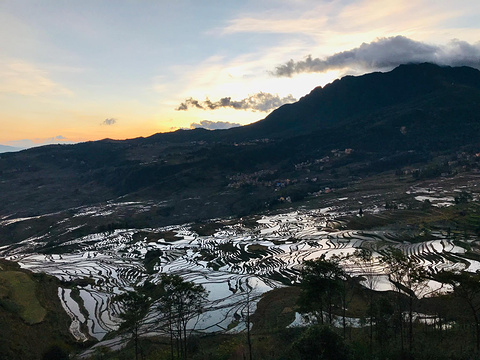 多依树梯田旅游景点攻略图