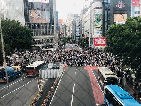 涩谷旅游景点攻略图