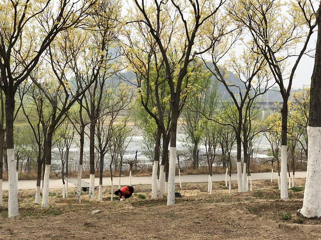 永定河休闲森林公园