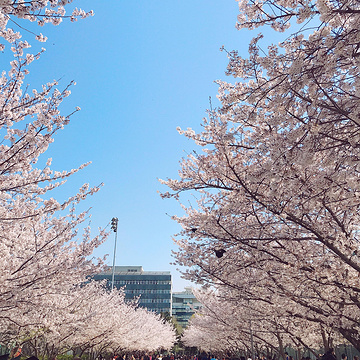 同济大学旅游景点攻略图