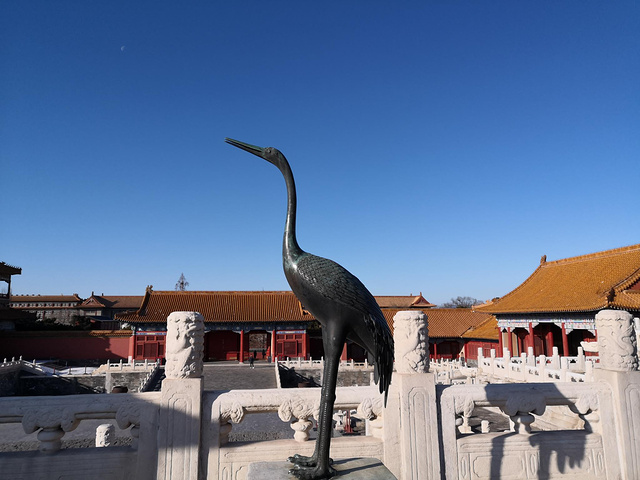 畅音阁,实物远比照片震撼,漂亮.萧索的慈宁宫后花园.御花园一角.