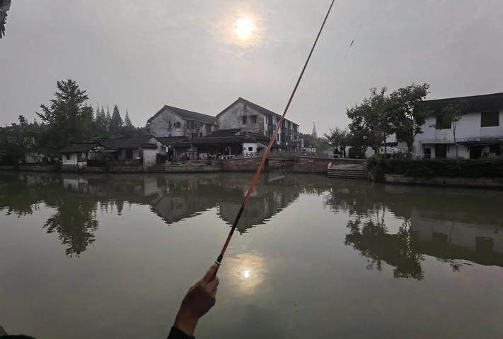 "是拍摄对面白墙黛瓦民居和秦峰塔的最佳角度，站在古石桥上，是遥看“小桥、流水、人家”江南风貌的最佳方位_千灯古镇"的评论图片