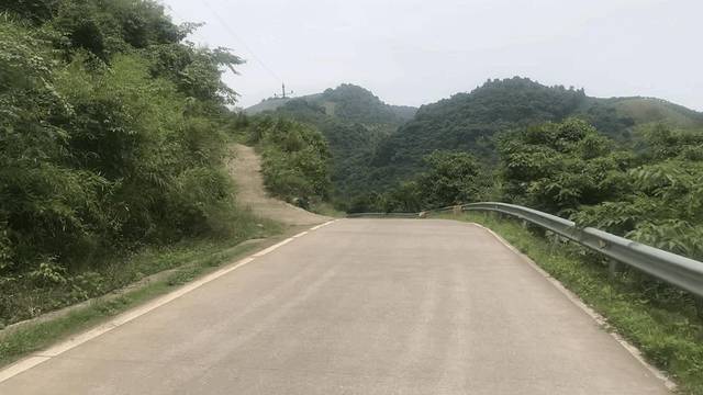 七仙峰有机茶园