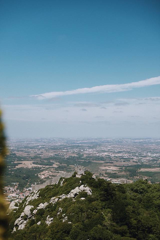 葡萄牙,让我将你的心儿摘下。
