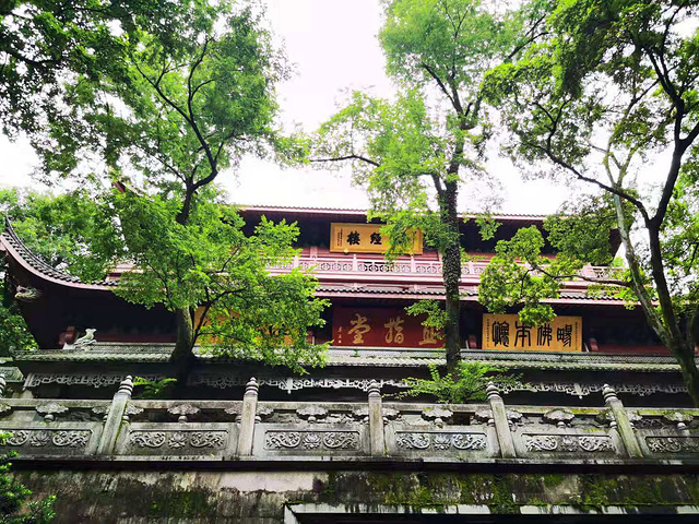 "如果只是让我拥有杭州半天的时间，我一定会来灵隐寺。偶遇永福禅寺的猫咪师兄，很淡定，但是不让撸_灵隐寺"的评论图片