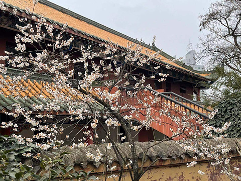 湘山寺旅游景点图片