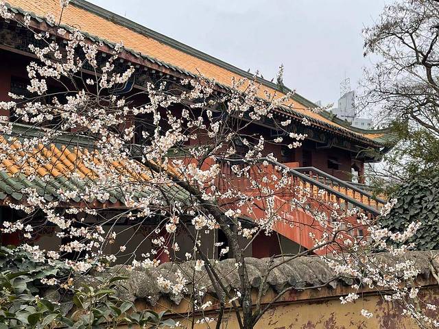 湘山寺