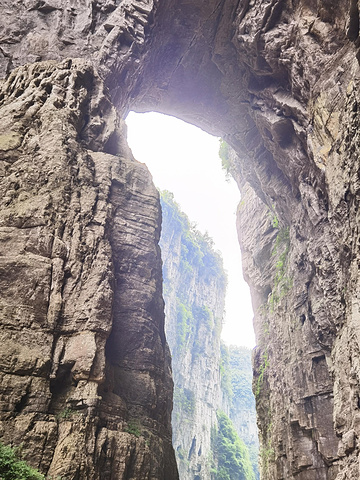 "站在峡谷下面看周围的景色也是蛮特别的，天然形成的除了三座石桥之外，还有几座形状奇特的山体 ，如..._武隆喀斯特旅游区"的评论图片