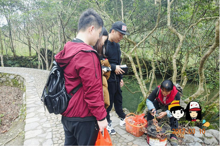 "许是都是来自差不多的地方，有着莫名的亲切，交谈过后决定一同前往荔波，一睹那绿宝石_小七孔桥"的评论图片