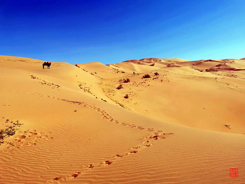 巴丹吉林沙漠旅游景点攻略图