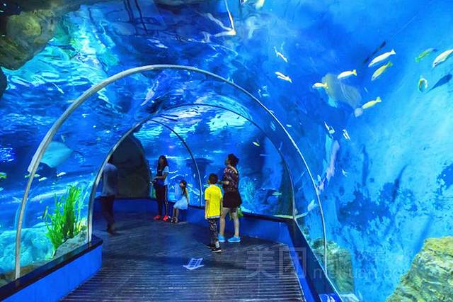 兰州极地海洋世界