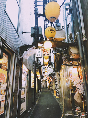 "新宿是东京最著名的繁华商区之一，不仅有数不尽的商场和大厦富有文艺的黄金街及歌舞伎町等知名景点也..._新宿"的评论图片