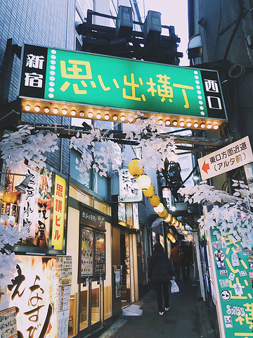 "新宿是东京最著名的繁华商区之一，不仅有数不尽的商场和大厦富有文艺的黄金街及歌舞伎町等知名景点也..._新宿"的评论图片