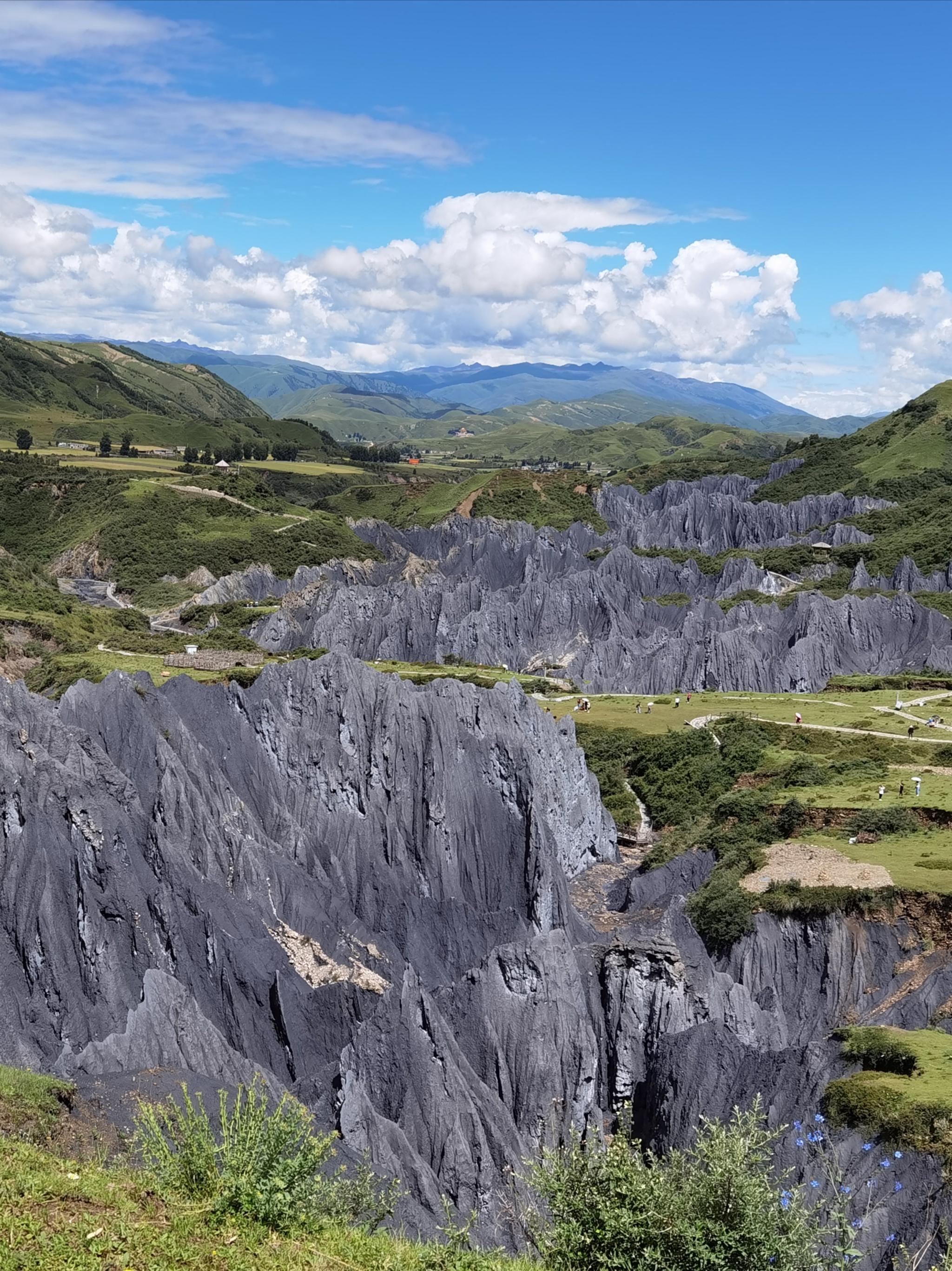 据说是这些石山蕴含着大量的矿物质所以山的表面也是寸草不生与周围绿