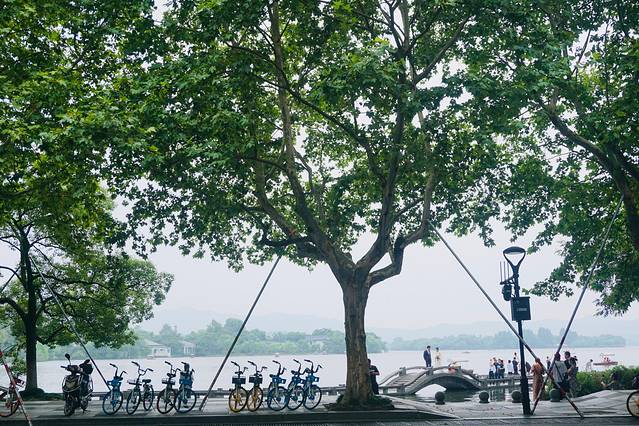 胡庆余堂药膳馆(中山南路店)