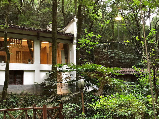 2024景区内有岳麓书院、爱晚亭、麓山寺、云麓宫等著名景点,山中树木茂盛,古树名木随处可见_岳麓山-评论-去哪儿攻略