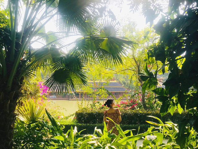 "曼听公园是我最期待的地方之一了，因为想去拍美美的傣族风格的照片，结果，这一上午就一心想着干饭了..._曼听公园"的评论图片
