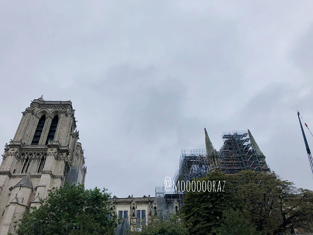 "_巴黎圣母院"的评论图片
