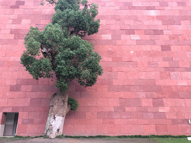 21建筑大师王澍设计 风景一流 不输厦大武大 非常值得一去 有很多适合拍照的地方 无论是风景还是人像 中国美术学院象山校区 评论 去哪儿攻略