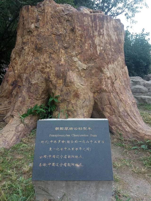 锦州古塔历史文化公园