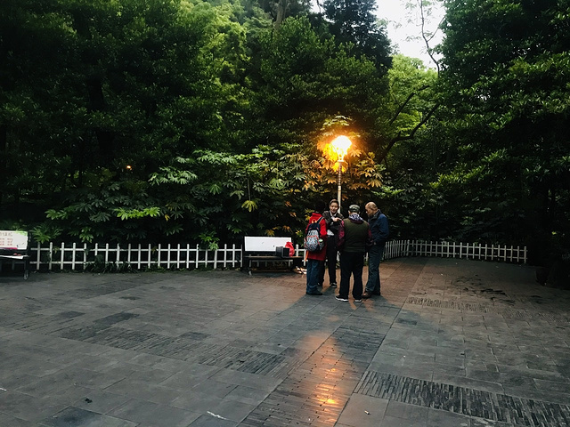"大概有十分钟左右的路程，到弘福寺后面之后，突然看到了一群小猴子，一点也不怕人，而且这只小可爱，..._黔灵山公园"的评论图片
