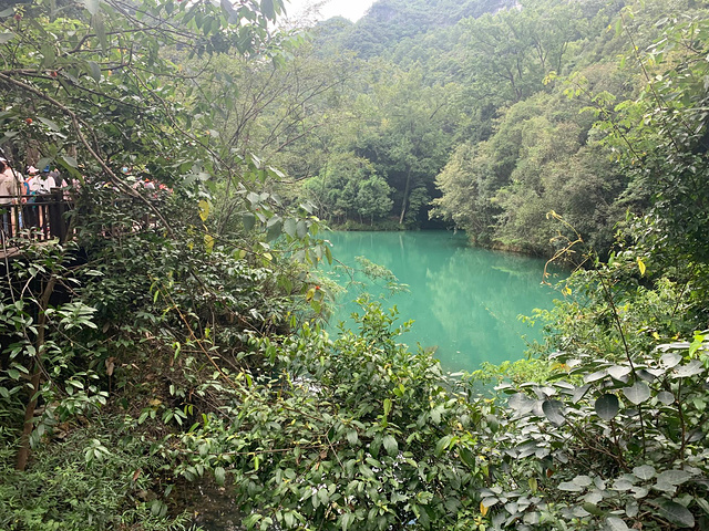 注意事項夏季是遊覽荔波小七孔的最佳季節氣溫高可以踩水水上森林路段