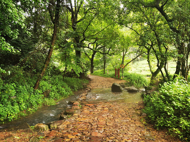 "...龙井村-九溪路线是一段平坦、没有坡度的石板路，非常幽静，前后50米没有旁人，溪涧环生，流水淙淙_九溪烟树"的评论图片