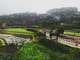 西江千户苗寨-田园观光区