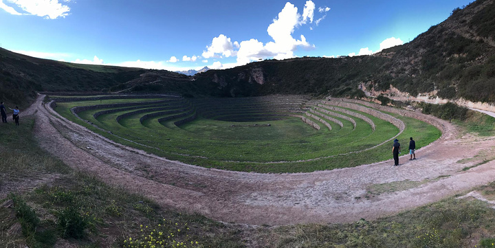 "套票上的第三个景点是环形梯田。太阳已经偏西，阴影使梯田的层次更分明。停车场外，大概时有露营团的小巴_Moray"的评论图片