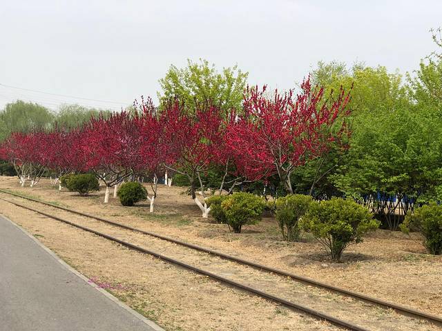 永定河休闲森林公园