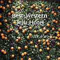 济州贝斯特韦斯特酒店(Best Western Jeju Hotel)