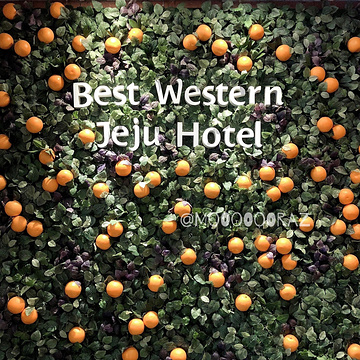 济州贝斯特韦斯特酒店(Best Western Jeju Hotel)