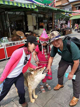 额尔古纳湿地旅游景点攻略图