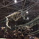 世界恐龙谷恐龙遗址公园