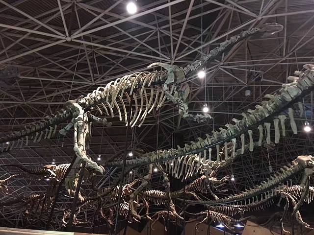 中国禄丰侏罗纪恐龙遗址公园