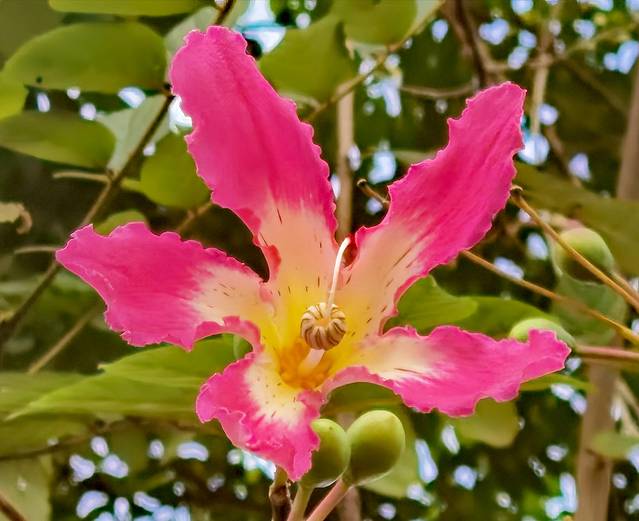 五彩田园农业嘉年华